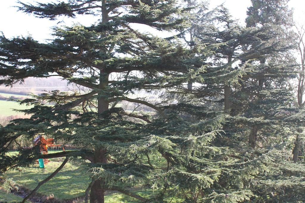 Trie-Château Chateau De La Folie الغرفة الصورة